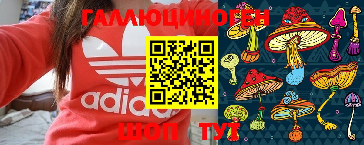 Галлюциногенные грибы Psilocybe Фролово