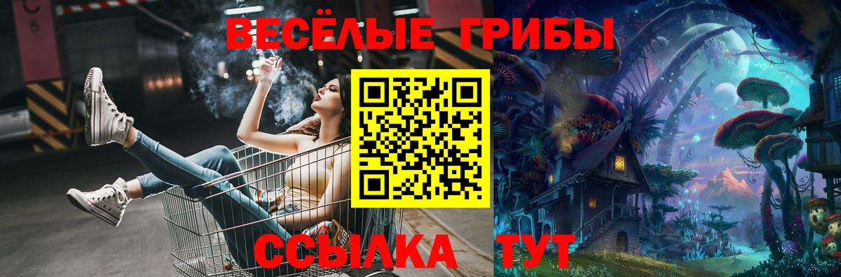 Фролово  Галлюциногенные грибы ЛСД  Вход с VPN 